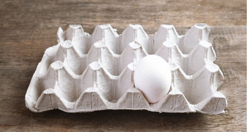 Лотки от яиц спускаю в погреб — и всю зиму слезы от счастья утираю: нужны не для хранения урожая — эффект дорогого стоит