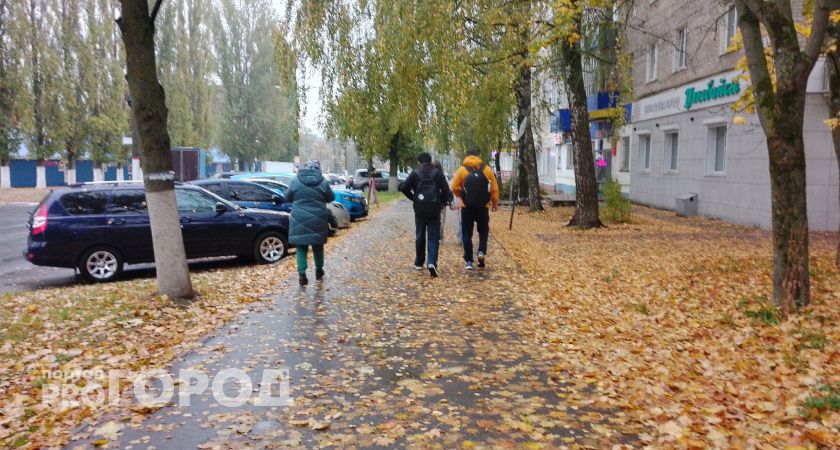 Эти трое заберут золотой билет: Василиса Володина назвала знаки, которым повезет в лотерее 29 октября