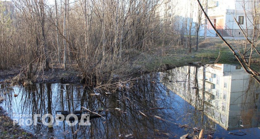 В Прилузском районе Коми нескольких предпринимателей поймали на создании свалок