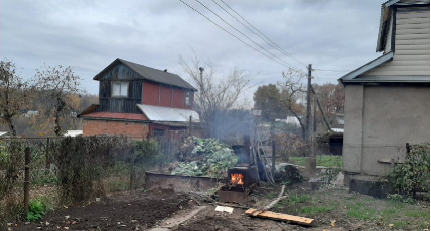 Хитрые дачники соду скупают пачками: и вот почему, польза невероятная — 5 лайфхаков