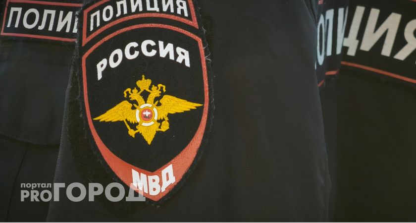 В Сыктывкаре сотрудник магазина пытался украсть электронику и бытовую химию