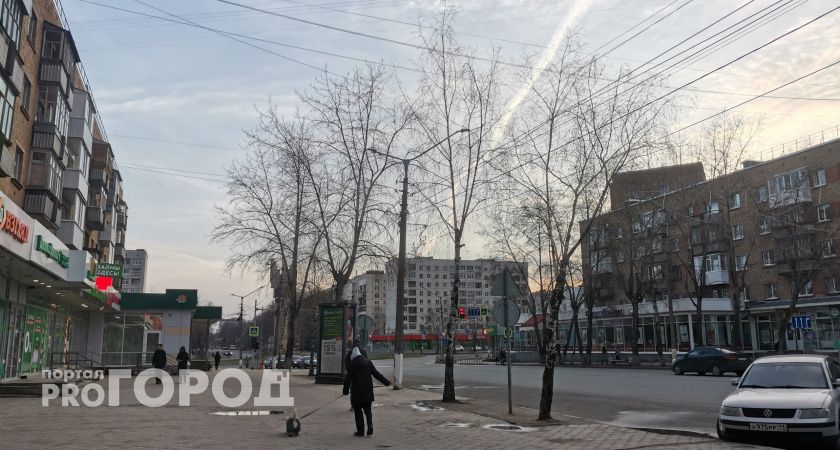 Почти половина сыктывкарцев поддерживают запрет на использование иностранных слов на уличных вывесках