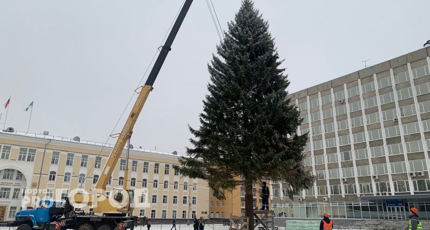 Жителям Коми сруб новогодней елки обойдется в 300 рублей