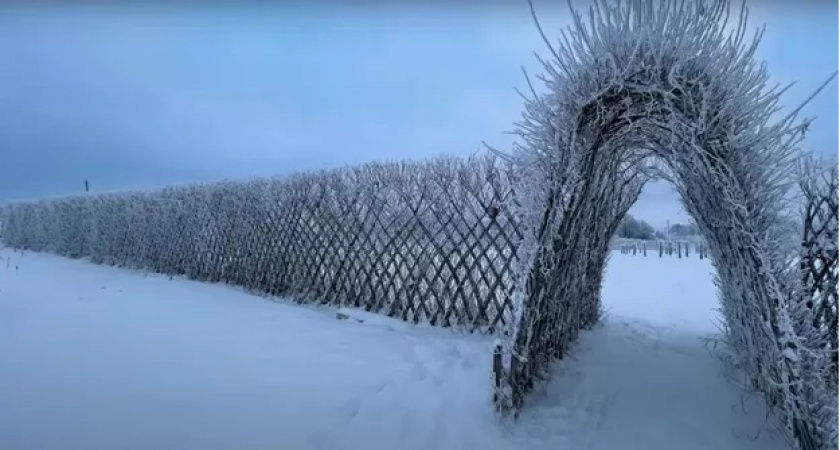 Всем заборам забор: бюджетный, не ржавеет, не просвечивает — пропускает ветер, но никто через него не перелезет