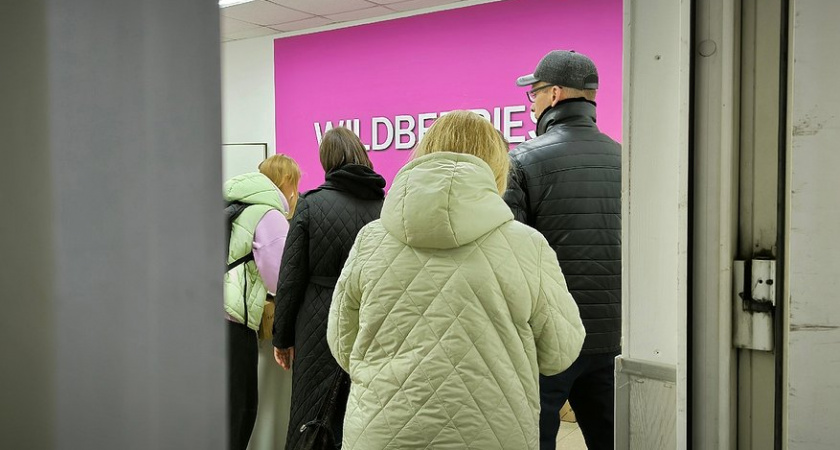 "Не платите там своей картой": Роскачество обратилось ко всем покупателям Wildberries и Ozon - почему не следует