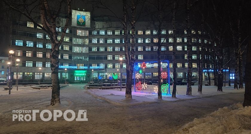 Мэр Сыктывкара прокомментировал инцидент с ребенком на ватрушке в Кировском парке 