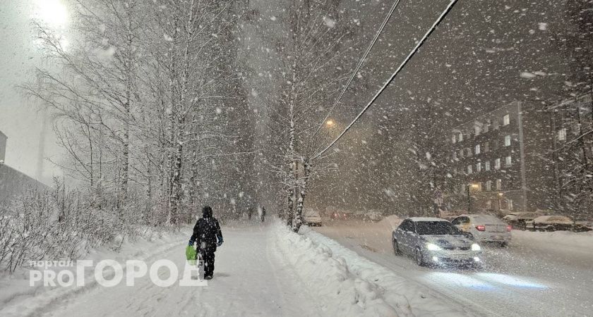 На севере Коми в ближайшее время ожидается метель и сильный ветер 