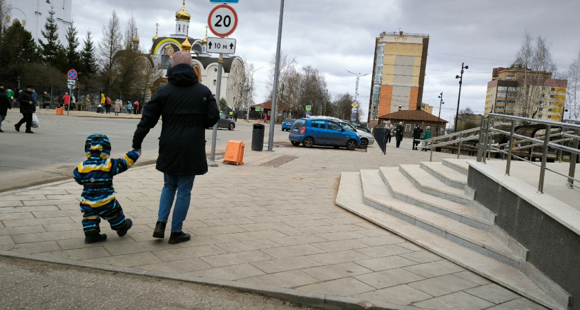 ЛДПР предложила выплачивать студенческий материнский капитал мамам до 25 лет