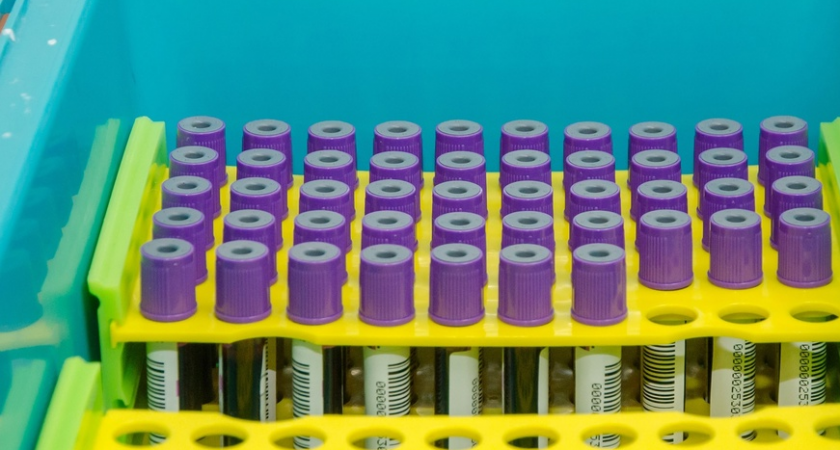 В Сыктывкаре десятки сотрудников зарегистрировались как доноры гемостволовых клеток, чтобы помочь коллеге