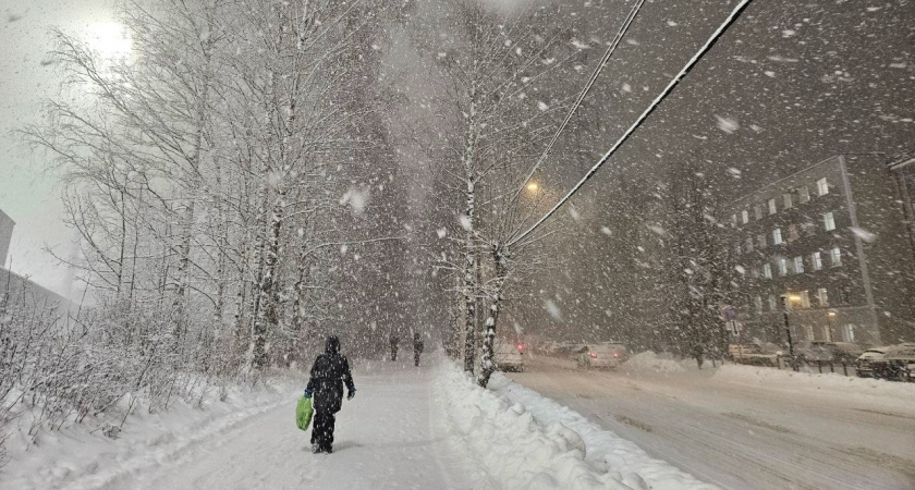 Рекордные снегопады в Коми: более 4,5 тысяч жалоб на уборку снега поступило за январь