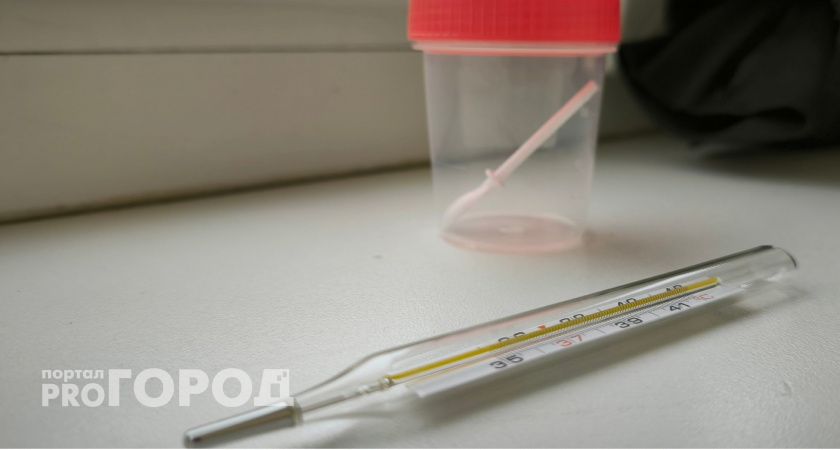 В Коми выросла заболеваемость ветрянкой 