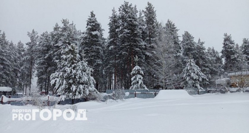 "Готовьте обезболы": Вильфанд назвал дату аномального погодного срыва в Центральной России