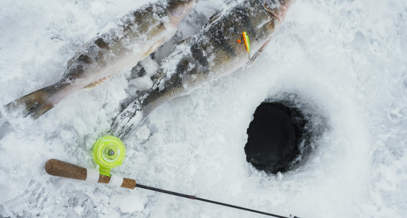 Объявлено о новых жестких запретах для рыбаков с 24 февраля