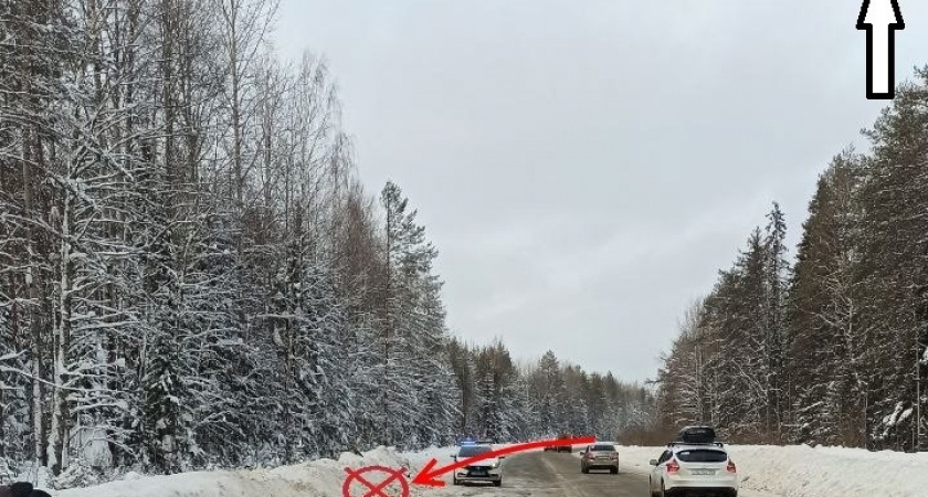 В Сыктывдинском районе Коми иномарка перевернулась из-за столкновения со снежным бруствером