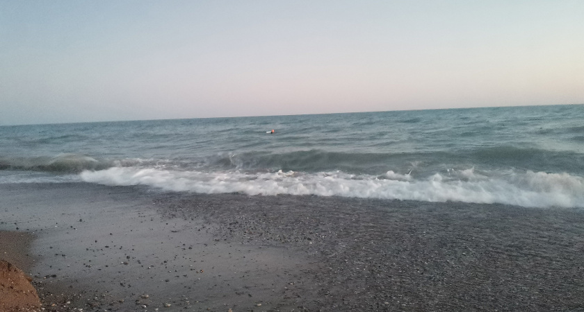 "Море грязное, люди дикие": российские туристы дали честный отзыв об отдыхе на курортах Черного моря