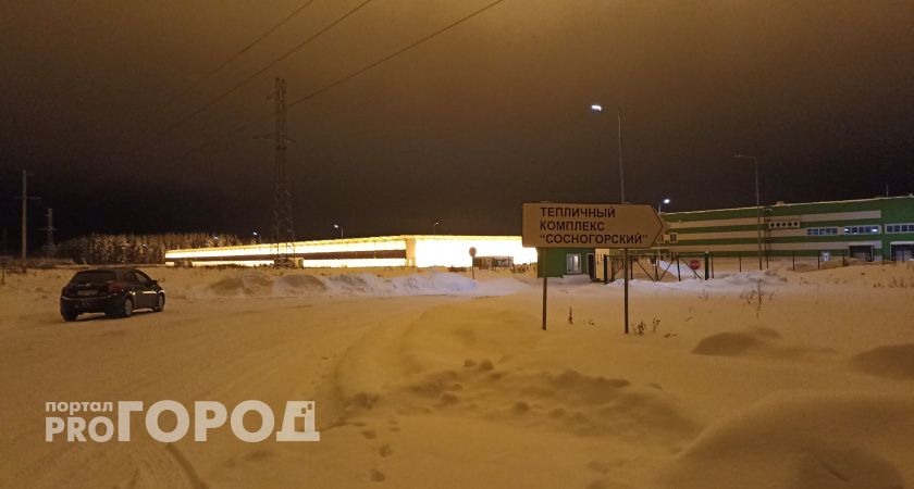 Теплицы Коми дают северянам 16 килограммов овощей на человека в год