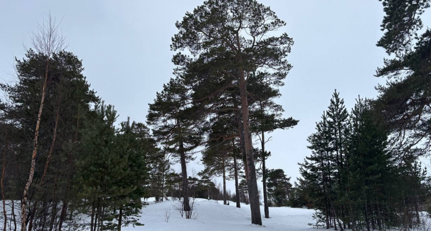 Сыктывкар закутался в серебряное кружево: прогноз погоды на 2 марта