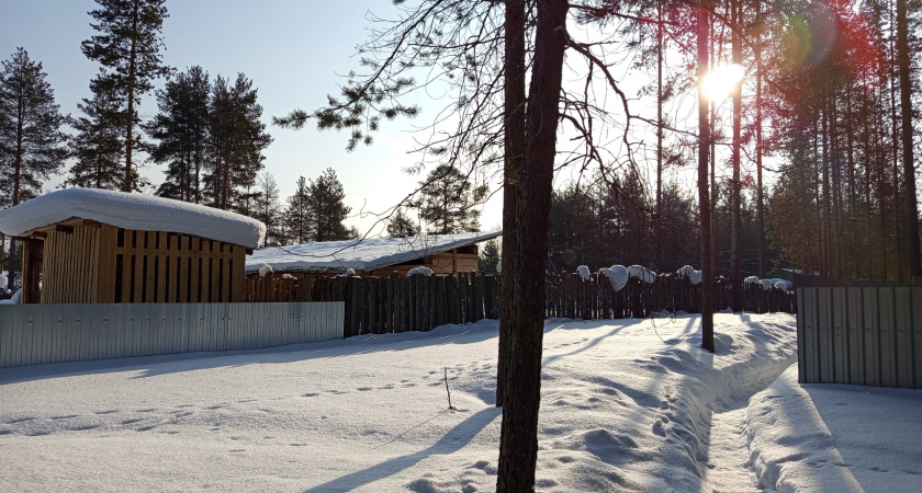 Сыктывкар встретил 9 марта легким снегом и стабильными "минусами"
