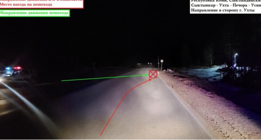 В Коми ребенок выскочил на трассу и попал под колеса авто 