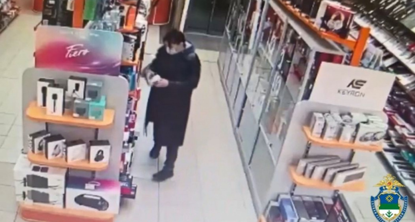 В Сыктывкаре задержали воровку колонок: ущерб – 28 тысяч рублей
