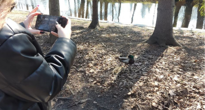 Путешественники Коми могут выиграть 3 миллиона в конкурсе о Дальнем Востоке и Арктике