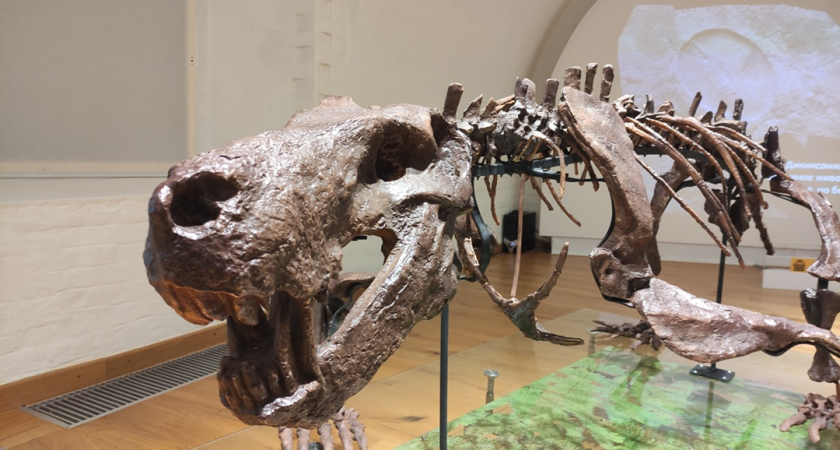 Бесплатные мастер-классы, выставки и премьера кукольного спектакля ждут жителей Сыктывкара