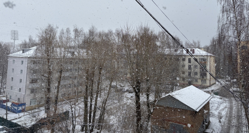 Россиян ждет самый холодный май за 140 лет: ученые дали новый прогноз погоды на месяц