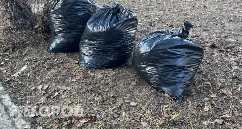 Лишь 2% жителей Сыктывкара одобряют обязательное проведение субботников