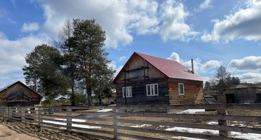 Сажа и нагар вылетят наружу: достаточно затопить печь этим — тяга станет образцовой