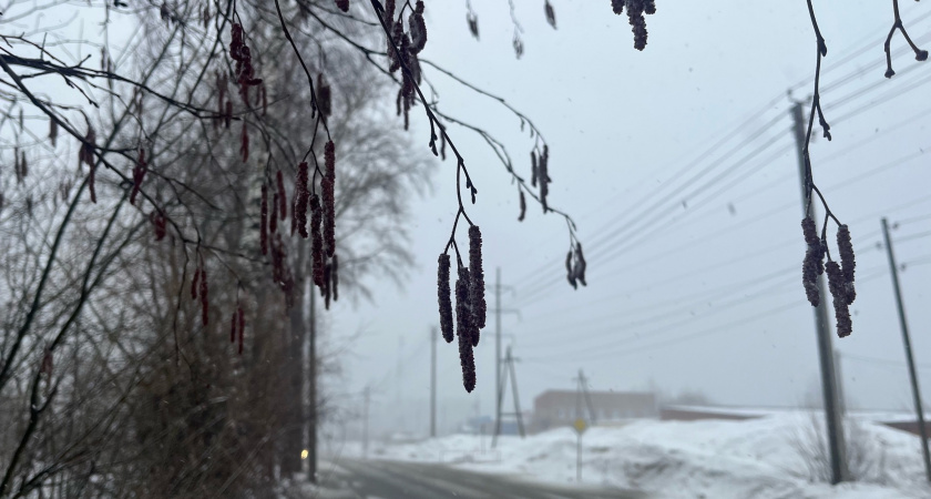 Полный откат к зиме: синоптики обновили прогноз с 10 мая — нагрянут морозы и снегопады