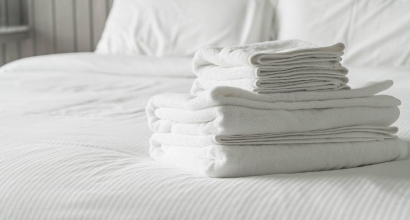 Просто разложить растение и протереть — и постельные клопы сбегут из дома навсегда: как изгнать гадких вредителей