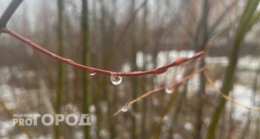 Аномальное тепло и неравномерные осадки: Коми пережила необычный март