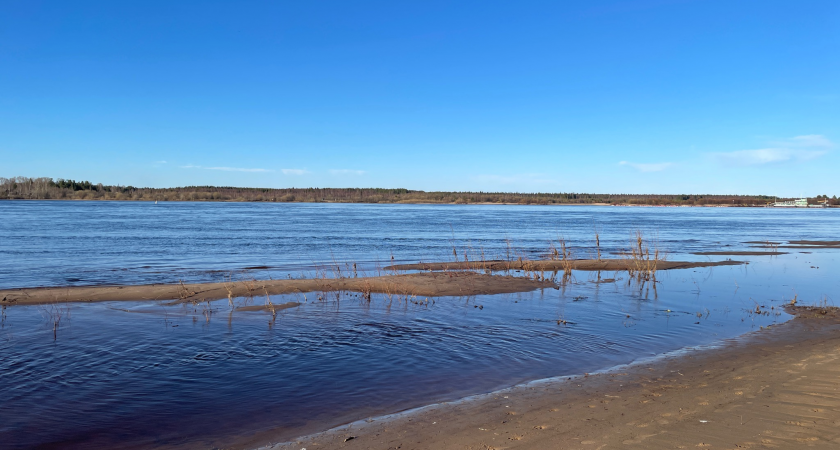 Коми топит: Вычегда грозит новым половодьем, Печора бьет рекорды подъема воды