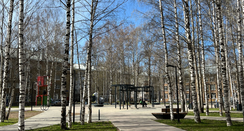 Мусор, штыри и рваные канаты: чем опасен детский сквер на улице Чернова