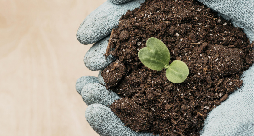 Лучше навоза и биогумуса — этот порошок содержит полтаблицы Менделеева: посыпаем грядки в мае