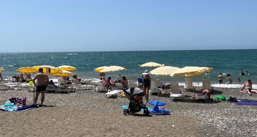 Никакого купания этим летом - тысячи медуз захватили воды Черного моря: россиянам испортили отдых