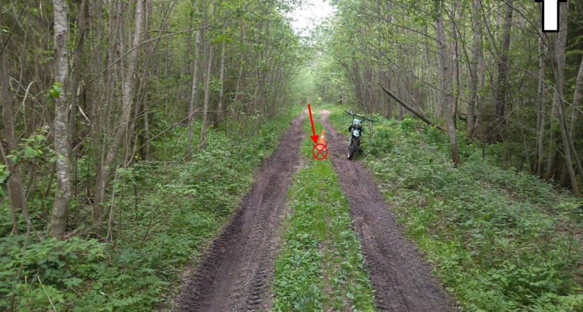 В Коми двое детей пострадали при опрокидывании питбайка 