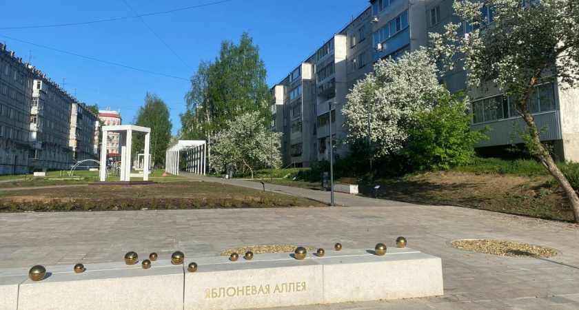 На Яблоневой аллее в Сыктывкаре обнаружили нехватку деревьев 