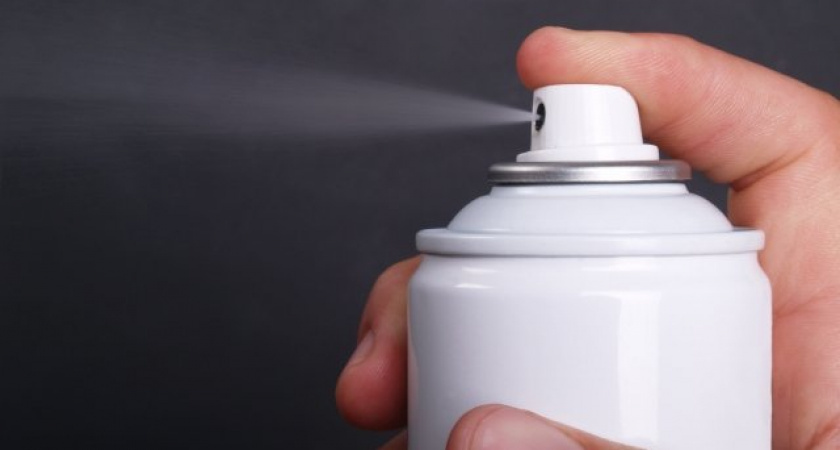 Древняя губка уничтожает прусаков целыми полчищами: 200 тараканов за ночь — «Дихлофосам» и «Машенькам» пора на покой