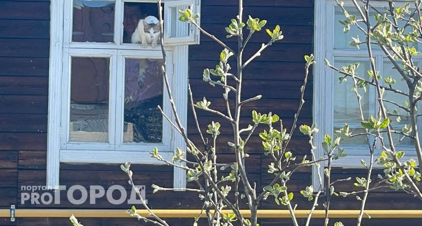 В Коми двое дачников задохнулись в подвале собственного дома
