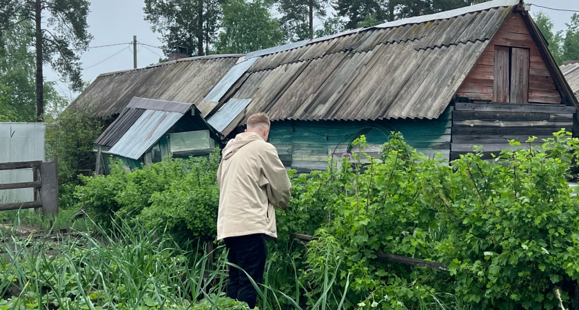 Полено для малины: мои кусты не разрастаются по участку, а урожай собираю ведрами