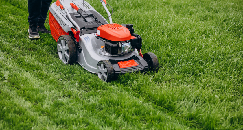 "И зачем так маяться, убери леску с триммера": сосед подсказал, как косить траву и не тратить лишние деньги на дорогую леску