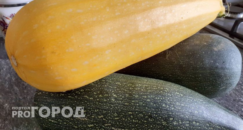 Кабачки вырастут как на дрожжах: в июне полейте их этими натуральными подкормками — урожай удивит