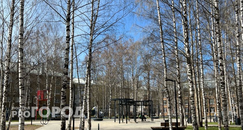 В Сыктывкаре установят еще один современный детский игровой комплекс