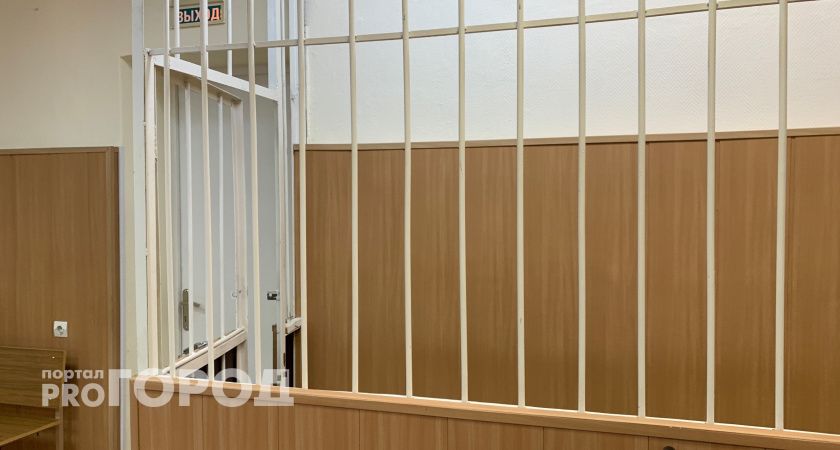 В Коми живодер может отправиться в тюрьму на пять лет за убийство кошки