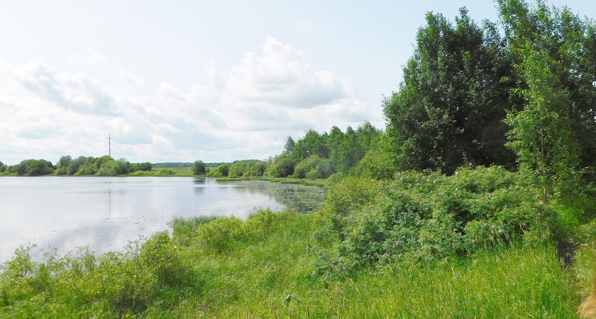 В Коми за первую половину 2025 году утонули 18 человек, включая двоих детей 