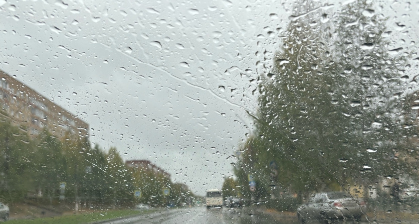 Коми проведет 28 июня под влиянием водной стихии: дожди и грозы