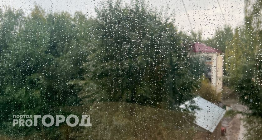 В Коми первая половина июля будет дождливой и холодной 