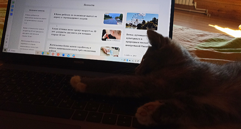 Сыктывкарцы ищут работу через друзей: каждый третий рассчитывает на себя