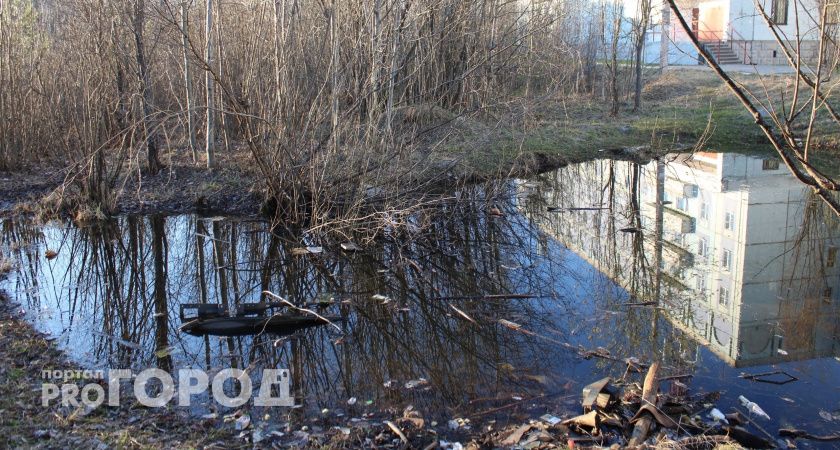 Одно из кладбищ Коми превратилось в свалку: суд обязал администрацию навести порядок